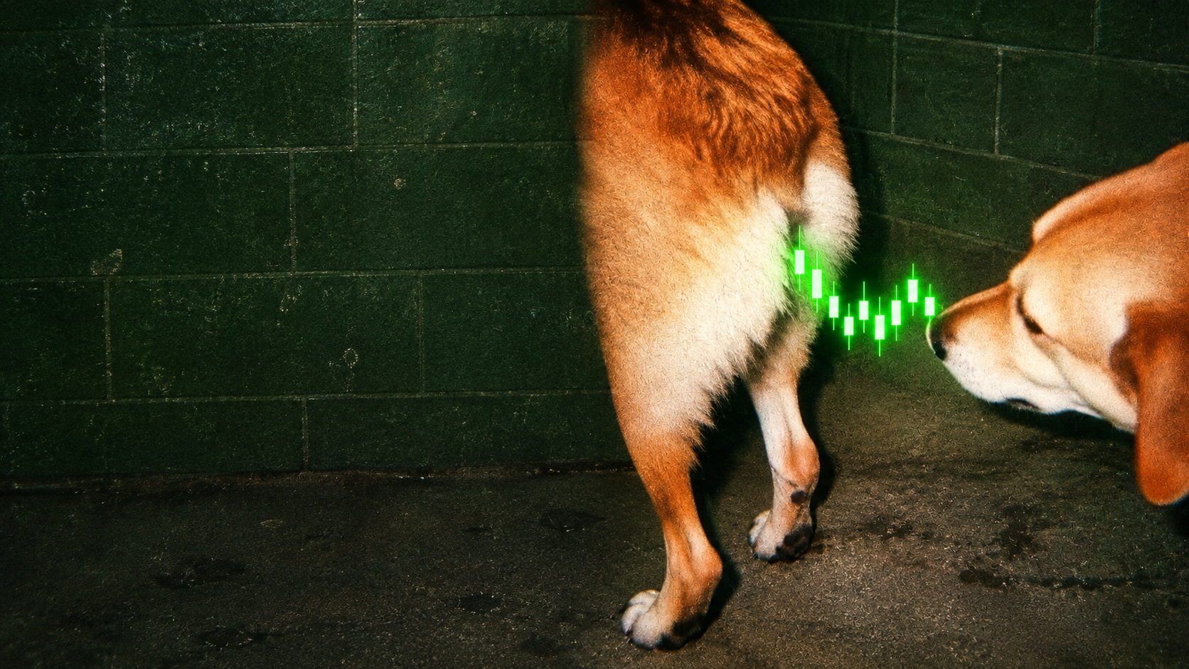 Two dogs following the scent of glowing green trading candles
